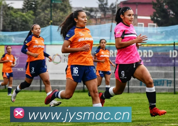 kaiyun官方入口服务体系